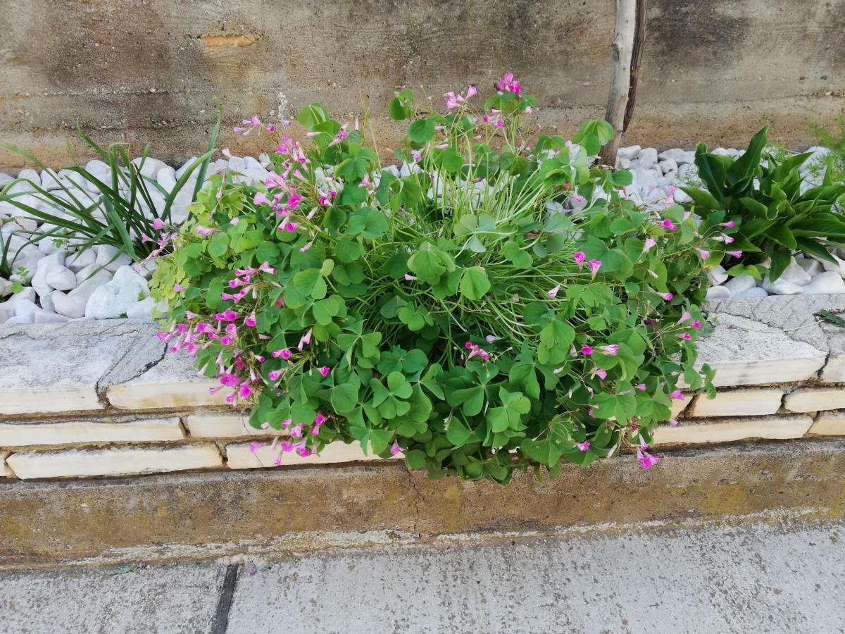 2 Appartement Zadar